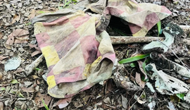 Ossada humana é encontrada na região do Poxim em Coruripe