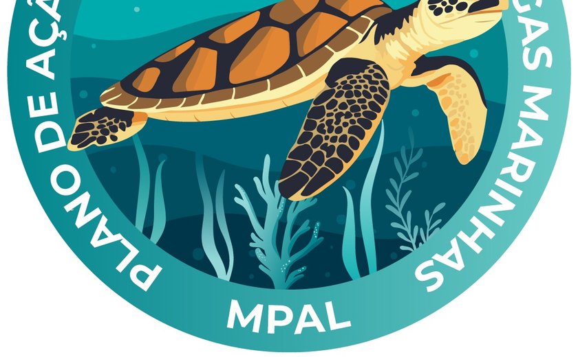 Plano de Ação Estadual das Tartarugas Marinhas terá Grupo de Trabalho e primeiras ações definidas em reunião na sede do MP/AL