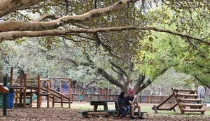 Prefeito de São Paulo sanciona lei que proíbe fumo em parques públicos