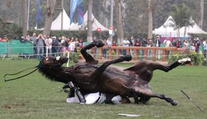 Susto no hipismo: brasileiro cai durante prova do Pan-Americano