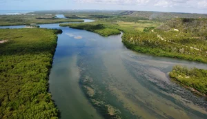 APA de Santa Rita é unidade de conservação estadual mais antiga de Alagoas