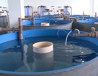 Aprovado em 2º turno projeto de dispensa de licença ambiental para a piscicultura continental