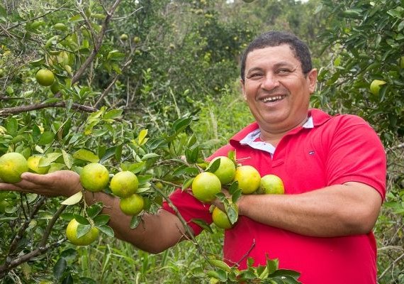 Secretaria do Planejamento divulga PIB dos municípios de Alagoas