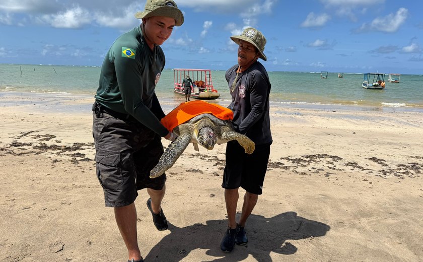 Porto de Pedras inicia campanha de conscientização de proteção às tartarugas marinhas