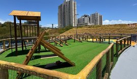 Brota na Grota transforma rotina dos moradores da Grota do Arroz