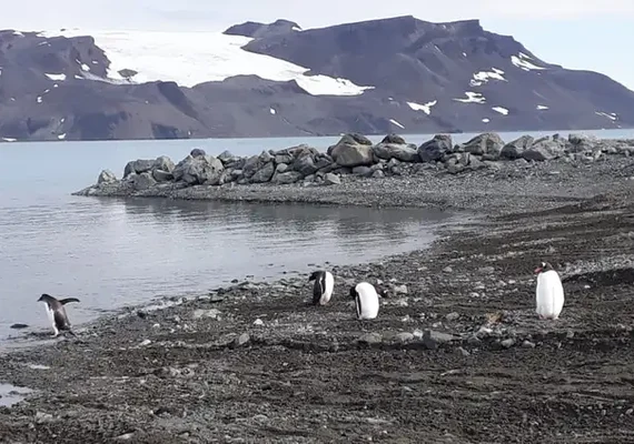 Mapeamento inédito revela extensão de área livre de gelo na Antártica