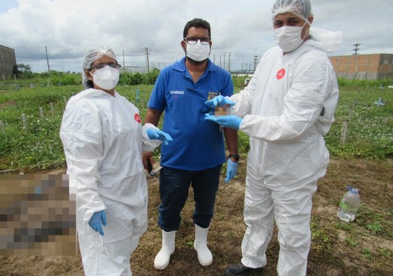 IML de Arapiraca identifica ossada carbonizada encontrada em canavial