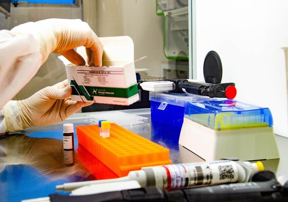 Dezenove pesquisadores brasileiros estão entre os mais citados de 2020