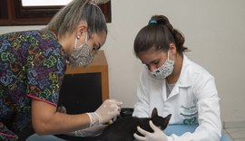 Programa de Acolhimento de Animais conscientiza sobre importância da vacinação