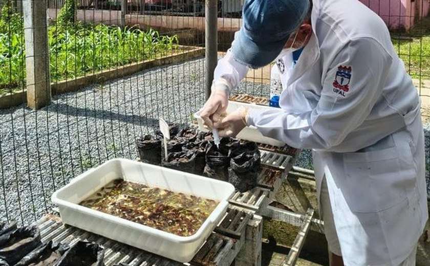 Ufal integra projeto campeão de prêmio nacional de preservação ao Meio Ambiente