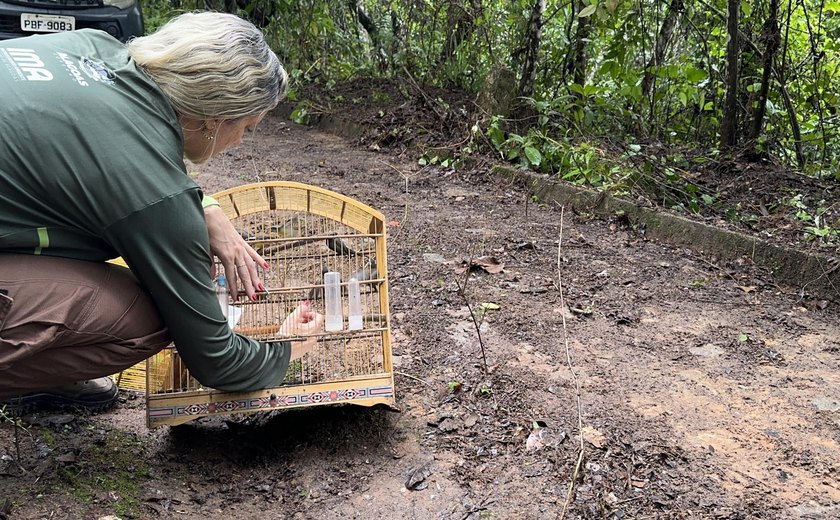 Mais de 160 animais silvestres são soltos em Alagoas