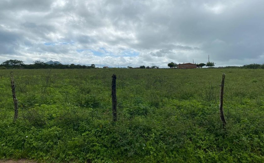 VT de Santana do Ipanema leiloará fazenda de 780 tarefas nesta sexta (18)