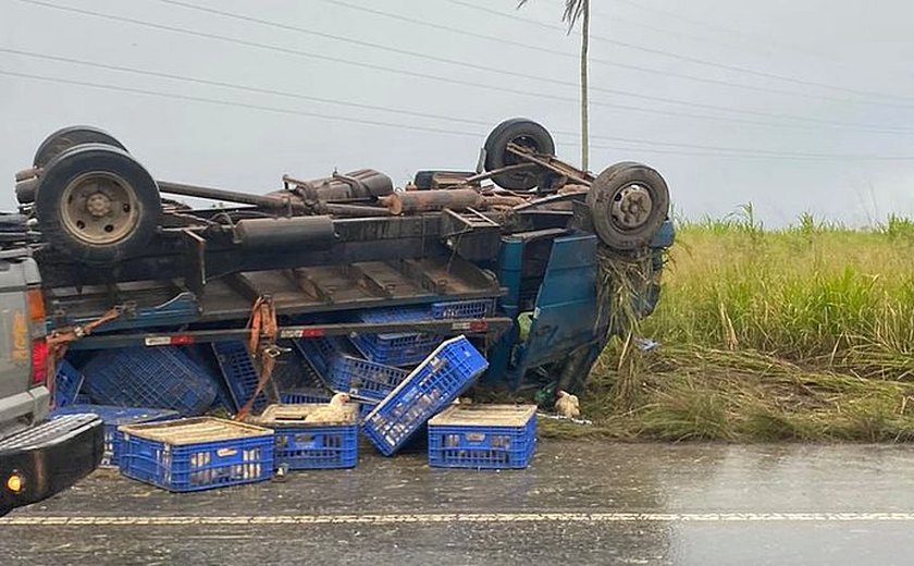 Caminhão com galinhas vivas tomba na zona rural de Arapiraca