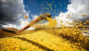 Produção agrícola brasileira superou R$ 927 bilhões em 2025
