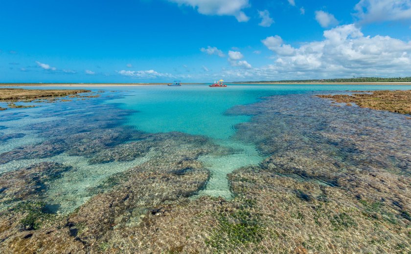 Praia de Alagoas é considerada uma das 100 melhores praias do mundo