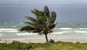 Alagoas segue com alertas de ventos costeiros e vendaval no Litoral e Sertão