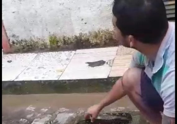 Moradores capturam jiboia em rua do bairro Santos Dumont