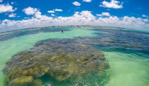 ICMBio afirma que normativa que proibia mergulho em Maragogi foi mal interpretada