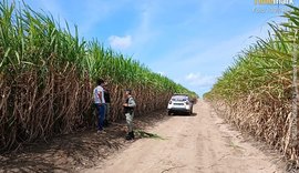 Polícia Civil apura homicídio de vítima localizada enterrada em canavial de Penedo