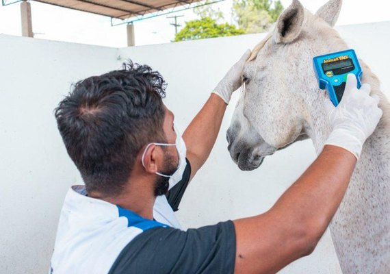 Centro de Zoonoses atua na prevenção de doenças transmitidas por animais