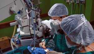 Pandemia afeta transplantes de órgãos em Alagoas