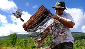 FPI do São Francisco realiza última soltura de animais silvestres