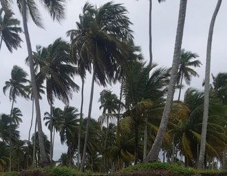 Defesa Civil de Alagoas reforça alerta sobre ventos fortes durante os próximos dias
