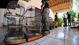 FPI do São Francisco recupera 100 animais silvestres que eram mantidos em cativeiro