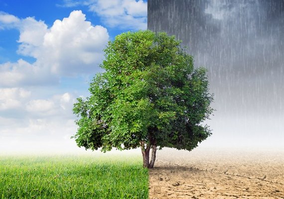 Ufal reúne comitê para discutir questões climáticas e ações institucionais