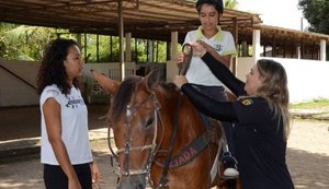 Estado garante serviço de equoterapia para mais de 800 alagoanos