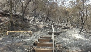 Número de mortos em incêndios registrados na Austrália sobe para 23