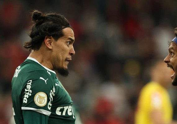 Palmeiras é campeão da Série A do Brasileirão