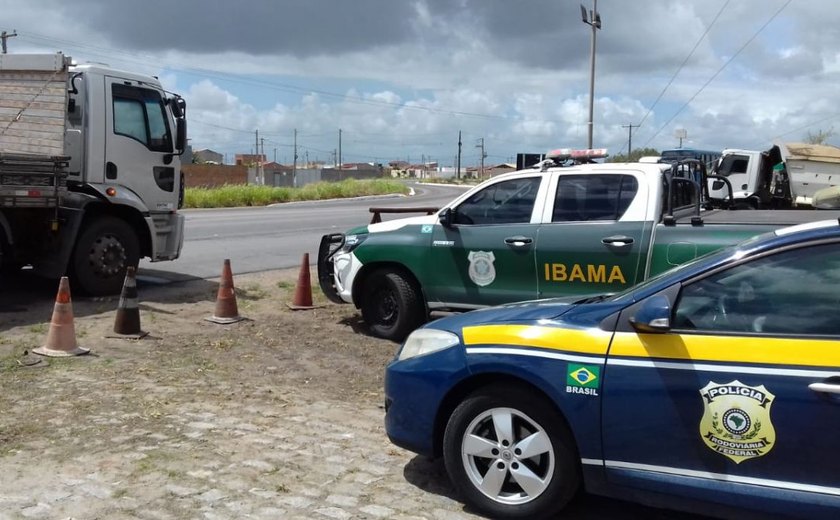 PRF/AL realiza ação integrada com Ibama para fiscalizar caminhões em trechos da BR-101