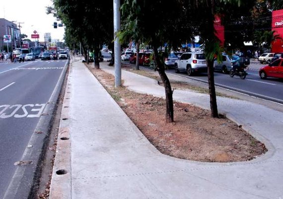 Obras da ciclovia avançam na Avenida Fernandes Lima