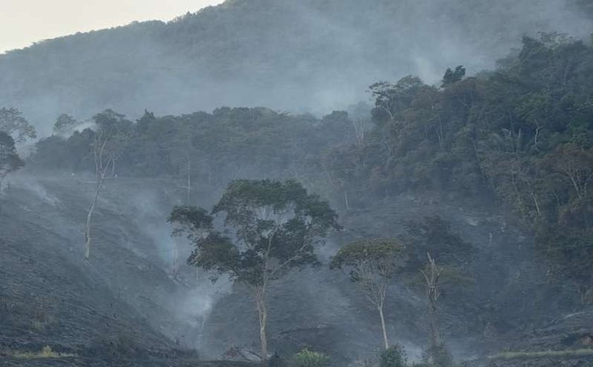 Incêndio em área de pasto de fazenda atinge Estação Ecológica de Murici