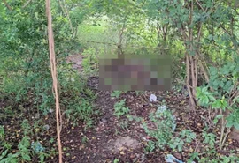 Corpo de homem é encontrado em área de vegetação no Norte de Alagoas