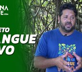 Projeto Mangue Vivo