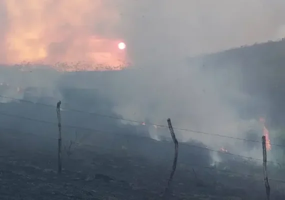 Alagoas registra mais de sete mil focos de incêndio em vegetações este ano