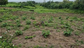 Olho d’Água das Flores: FPI denuncia que falta de terra levou quilombolas a plantar em lixão
