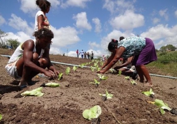 Estado vai abrigar projeto-piloto nacional para inclusão social produtiva