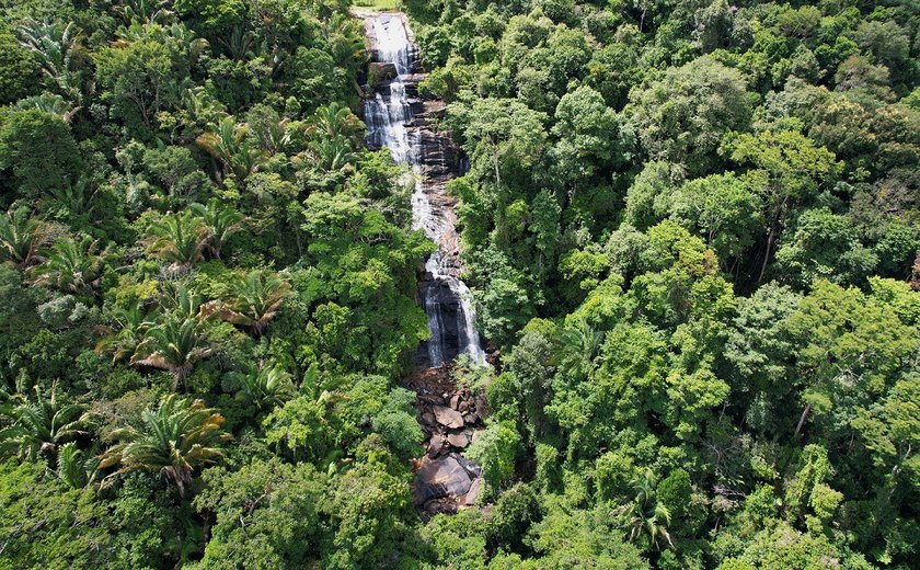 Murici e Viçosa concentram o maior número de cachoeiras de Alagoas