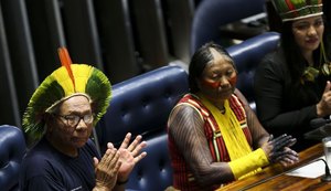 Dia do Índio é marcado por apelos no Senado