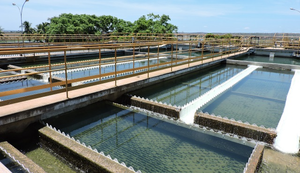 Agreste Saneamento efetua manutenção preventiva no Sistema Coletivo na próxima quarta-feira