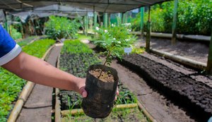 Disque Muda: Coruripe mais verde e sustentável ao seu alcance