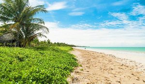 Beach Club Milagres do Toque implanta projeto de aumento da restinga e de reciclagem