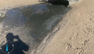 IMA autua empresa por lançamento de efluente na Praia de Ponta Verde