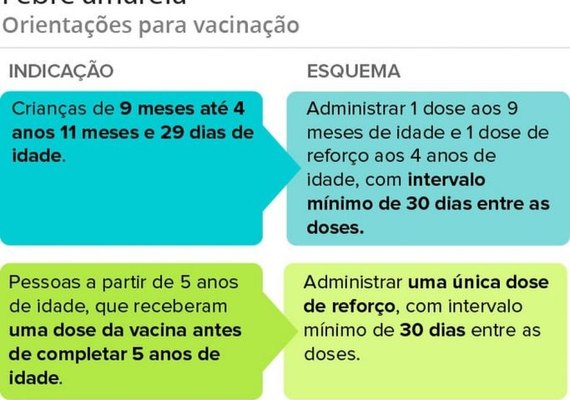 Ministério da Saúde estuda fracionar doses da vacina da febre amarela