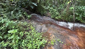 Rota do Cacau amplia ecoturismo e preservação ambiental em Matriz de Camaragibe