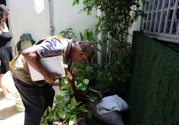 Dia D combate focos de mosquito da dengue em todo o país