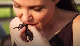 Angelina Jolie cozinha escorpiões e aranha, come e serve aos filhos